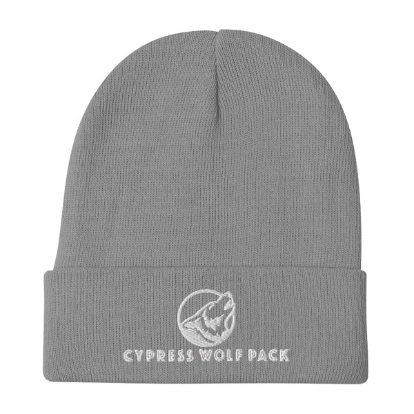 https://www.mindovermatterathlete.com/cdn/shop/products/knit-beanie-gray-front-61be563c4ee89_grande.jpg?v=1639863878